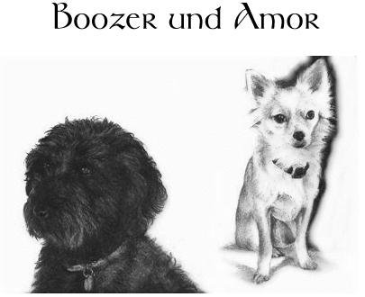 Boozer und Amor
